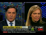 CNN Larry King - Amanda Knox case.
